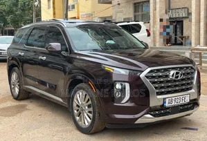 Hyundai Palisade 2020 Marron