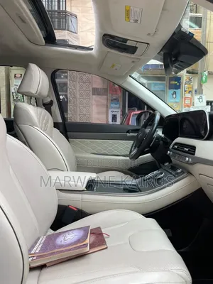 Hyundai Palisade 2020 Marron