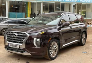 Hyundai Palisade 2020 Marron
