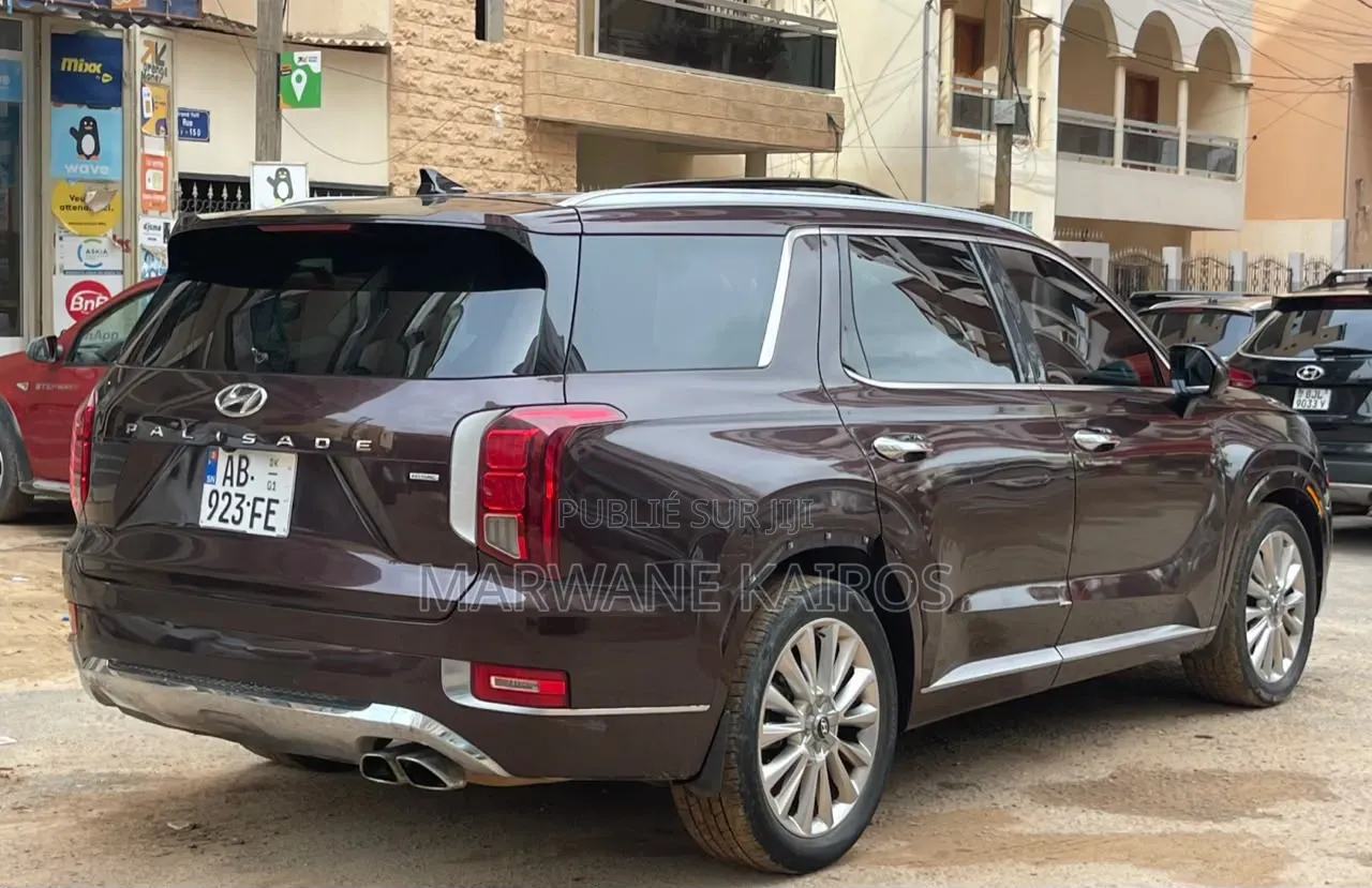 Hyundai Palisade 2020 Marron