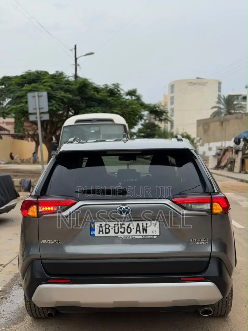 Toyota RAV4 XLE AWD 2020 Gris