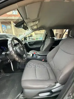 Toyota RAV4 XLE AWD 2020 Gris