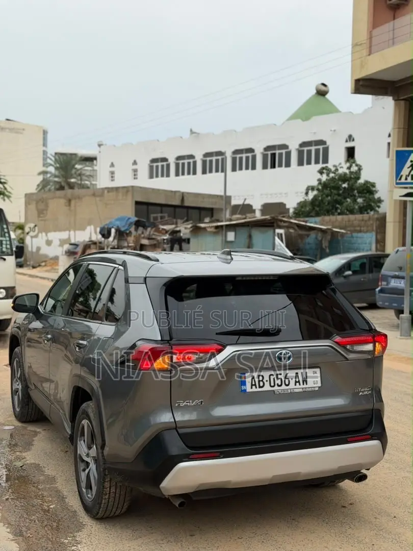 Toyota RAV4 XLE AWD 2020 Gris