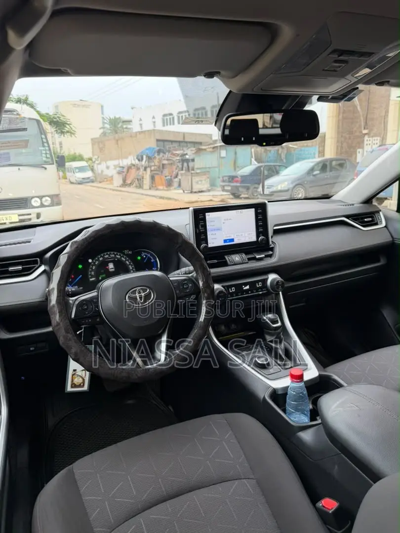 Toyota RAV4 XLE AWD 2020 Gris