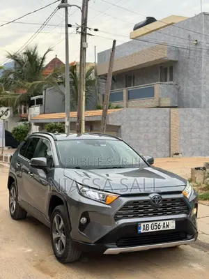Toyota RAV4 XLE AWD 2020 Gris