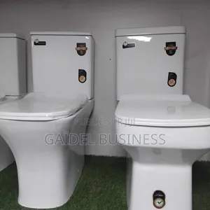 Toilettes Monobloc & Lavabos Sur Colonne)