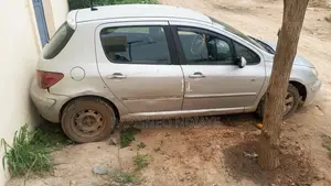 Peugeot 307 Cc 1.6 2008 Gris