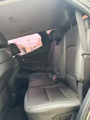 Hyundai Santa Fe 2017 Noir Mat