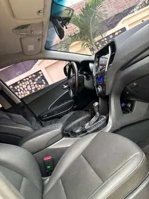Hyundai Santa Fe 2017 Noir Mat