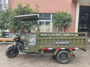 Nouveau Tricycle 2026 Vert