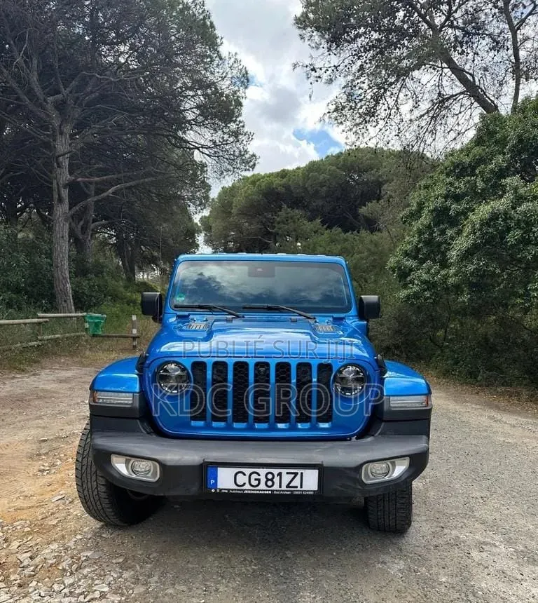 Jeep Wrangler 2022 Bleu