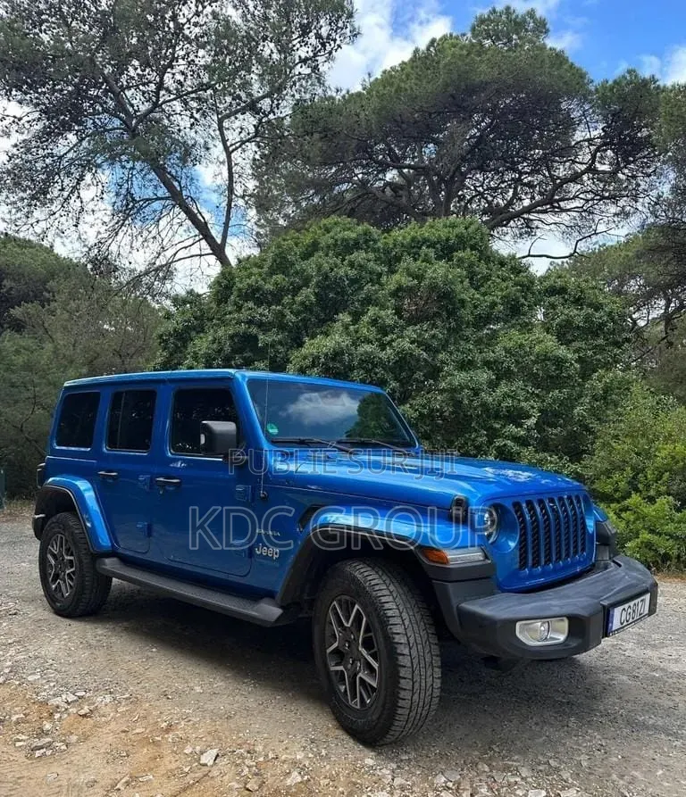 Jeep Wrangler 2022 Bleu