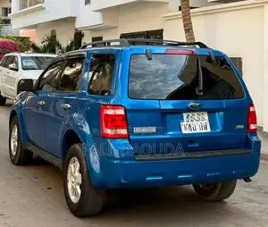 Ford Escape 2010 Bleu