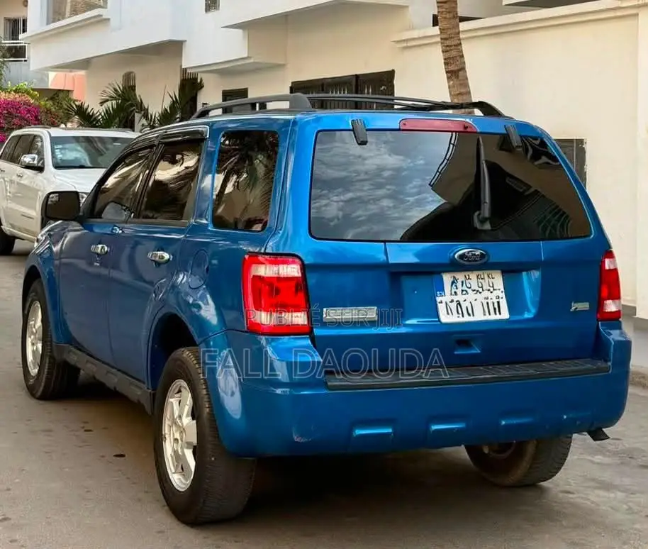 Ford Escape 2010 Bleu