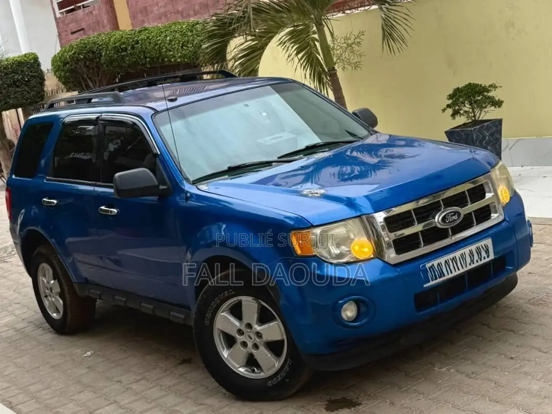 Ford Escape 2010 Bleu