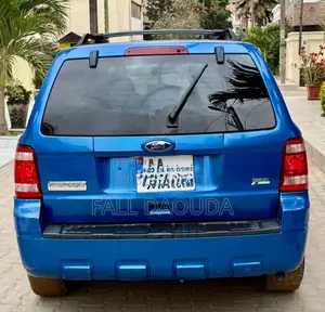 Ford Escape 2010 Bleu