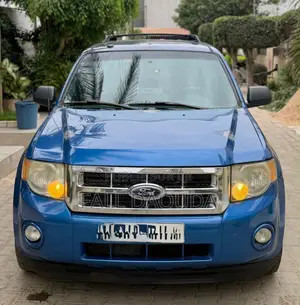 Ford Escape 2010 Bleu