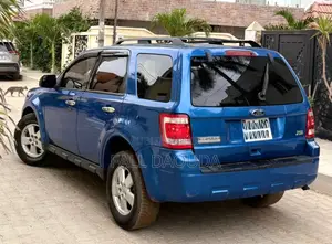 Ford Escape 2010 Bleu