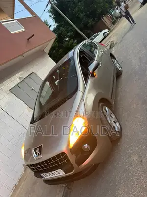 Peugeot 3008 2011 Marron