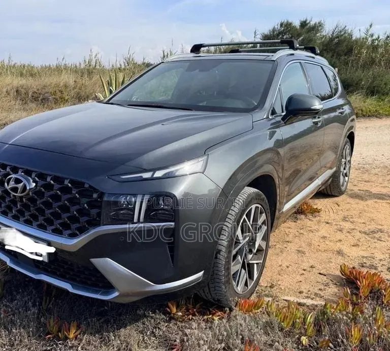 Hyundai Santa Fe 2021 Gris