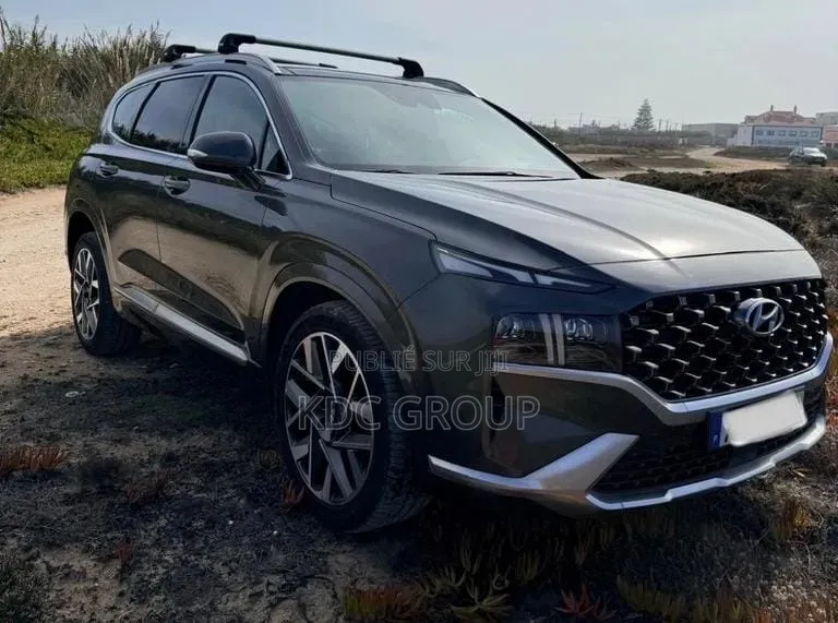 Hyundai Santa Fe 2021 Gris