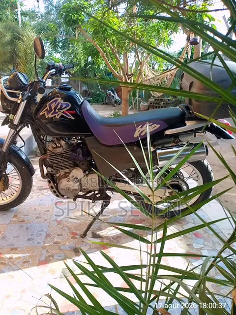 Honda 2024 Noir