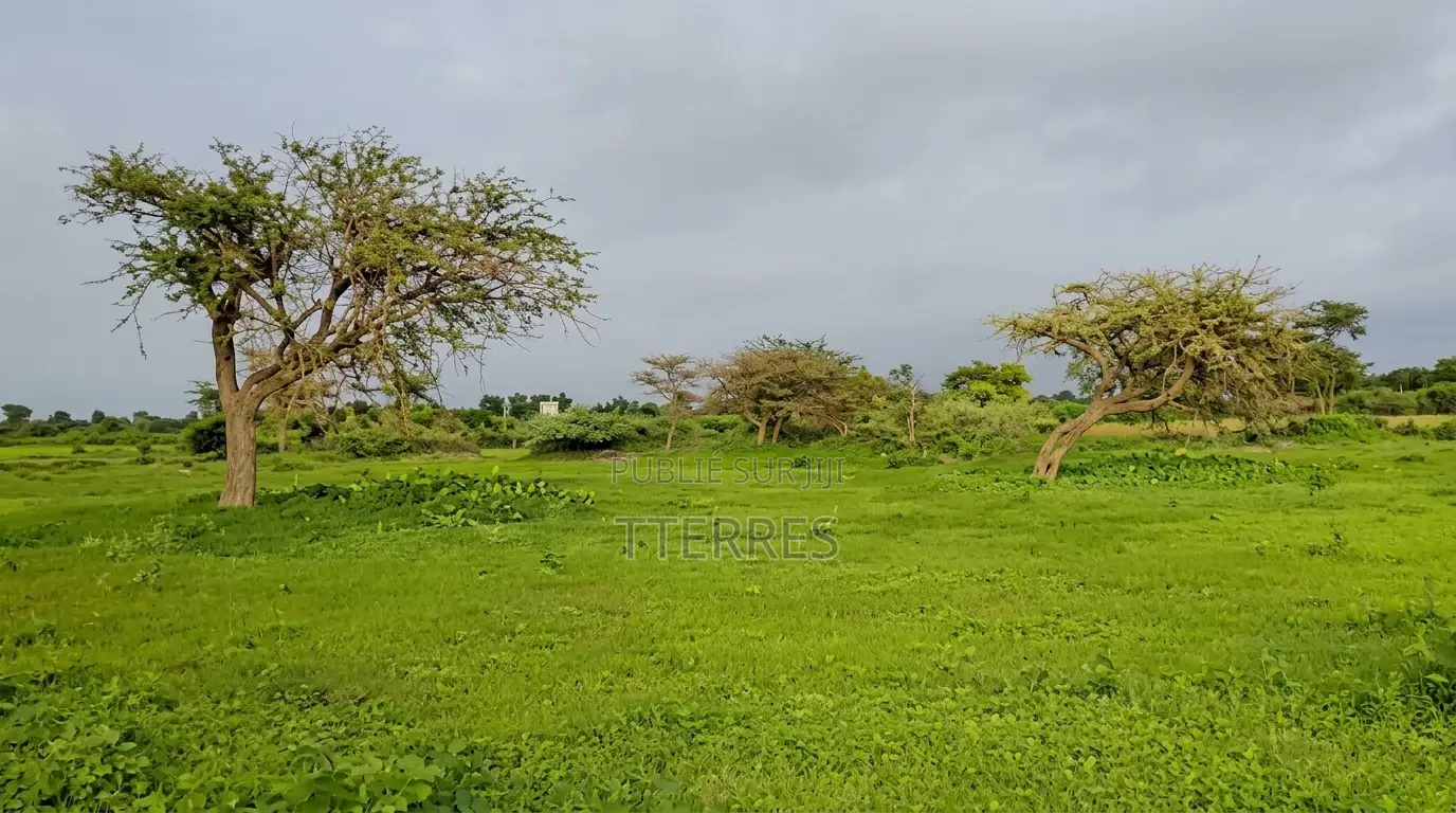 Verger Avec Forage Et Puits De 2,82 Ha Vers Taiba Ndiaye - Tivaouane