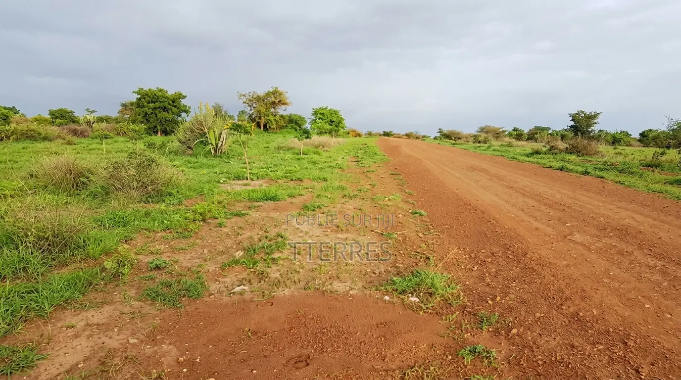 Verger Avec Forage Et Puits De 2,82 Ha Vers Taiba Ndiaye - Tivaouane