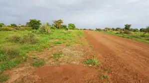 Verger Avec Forage Et Puits De 2,82 Ha Vers Taiba Ndiaye - Tivaouane