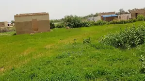 Verger Avec 2 Puits De 8,6 Hectares Vers Keur Yoro Dia - Tassette