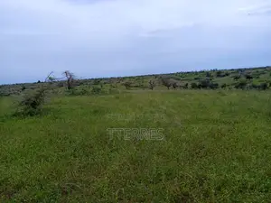 Verger Avec Forage Fonctionnel De 4,05 Ha Vers Diogo - Kab Gaye