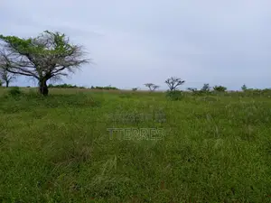 Verger Avec Forage Fonctionnel De 4,05 Ha Vers Diogo - Kab Gaye