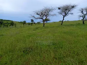 Verger Avec Forage Fonctionnel De 4,05 Ha Vers Diogo - Kab Gaye
