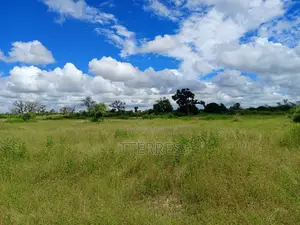 Verger De 2,99 Hectares Avec Puits Et Bassins Vers Tassette - Thiès