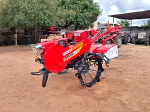 Motoculteur MASSIVE MT-22 Avec Roues en Fer Et Fraise Rotative