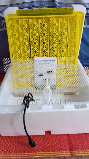 Couveuse Automatique 56 Œufs – 80W – Température & Humidité