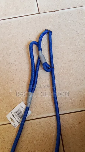 Laisse Simple Et Laisse Étrangleur