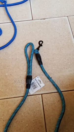 Laisse Simple Et Laisse Étrangleur