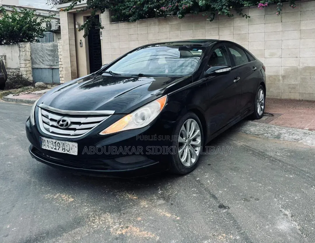Hyundai Sonata 2013 Noir Mat