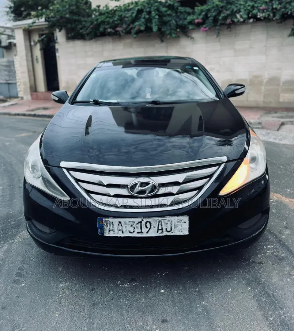 Hyundai Sonata 2013 Noir Mat