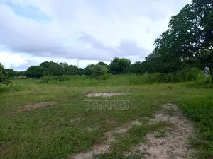 Verger De 2 Ha Avec 300 Arbres Fruitiers Vers Darou Khoudoss - Thiès