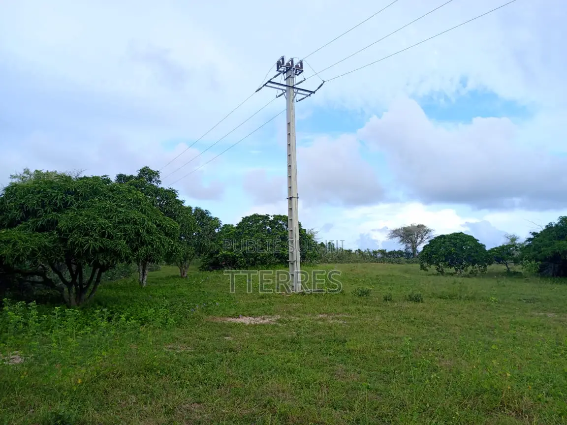 Verger De 2 Ha Avec 300 Arbres Fruitiers Vers Darou Khoudoss - Thiès