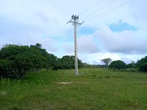 Verger De 2 Ha Avec 300 Arbres Fruitiers Vers Darou Khoudoss - Thiès