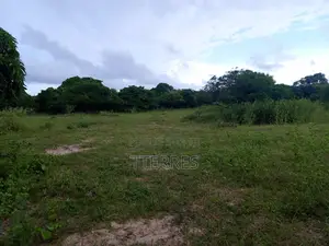 Verger De 2 Ha Avec 300 Arbres Fruitiers Vers Darou Khoudoss - Thiès