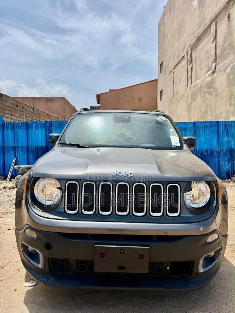 Jeep Renegade 2016 Gris