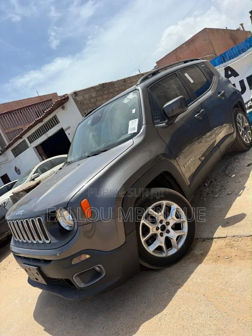 Jeep Renegade 2016 Gris