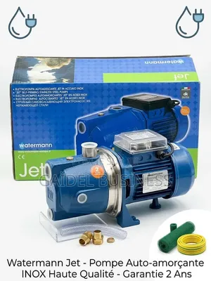 Pompe À Eau Auto-Amorçante Watermann Jet Inox