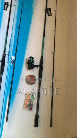 Ensemboe Complet Canne 2m40 Avec Accessoires