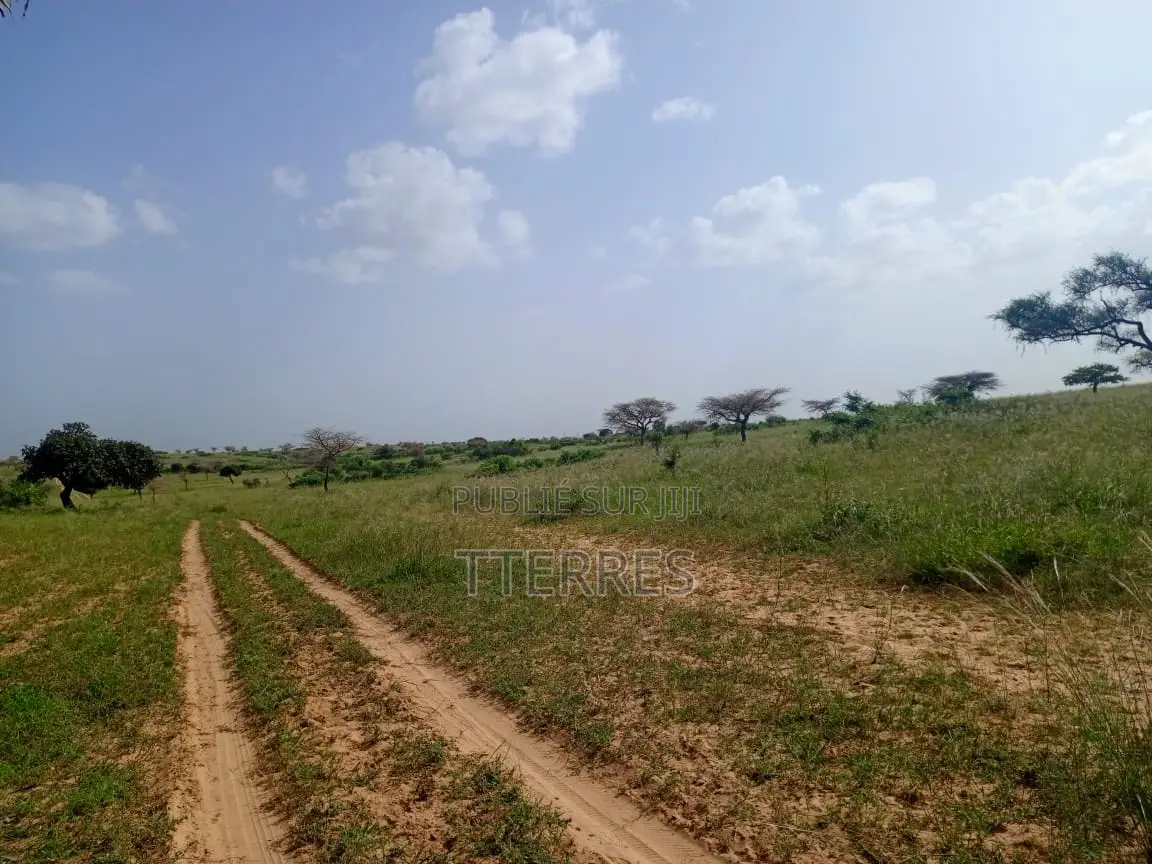 10 Hectares De Terre Agricole Vers Diogo - Darou Khoudoss