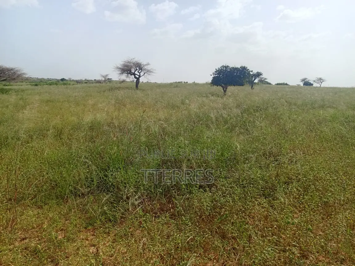 10 Hectares De Terre Agricole Vers Diogo - Darou Khoudoss
